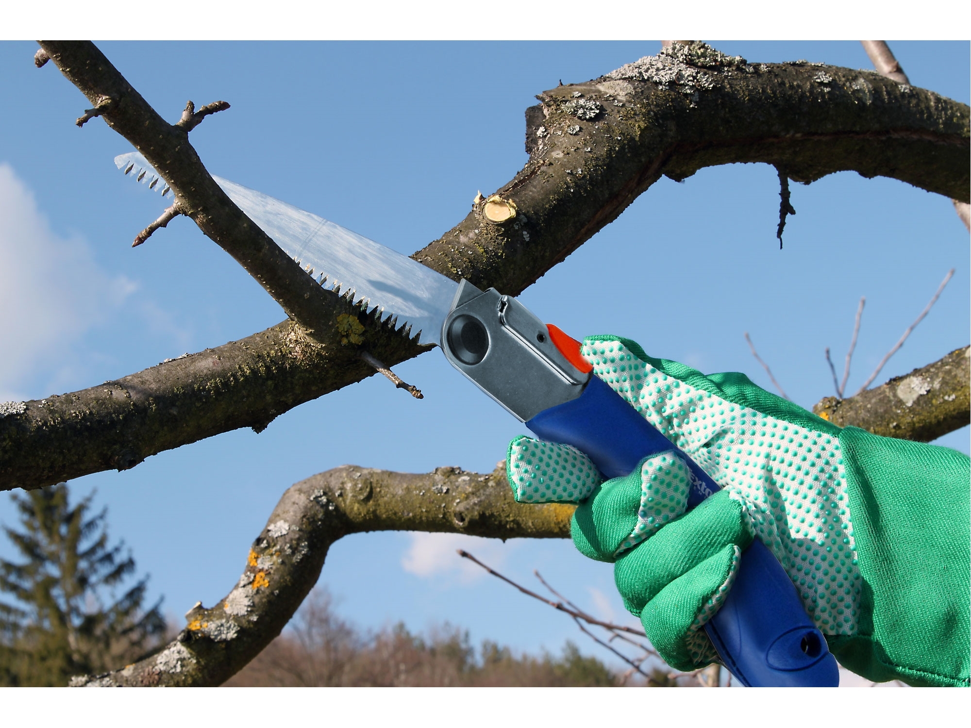 EXTOL PREMIUM Pilka na větve zavírací, 210mm